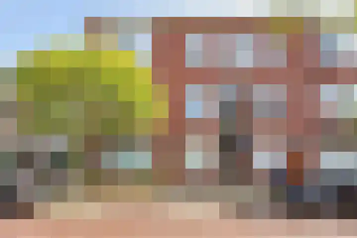 Boddaertstraat 56 Den Haag thumbnail 5