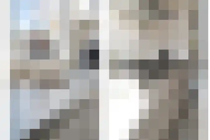 Boddemate 10 Zwolle thumbnail 12