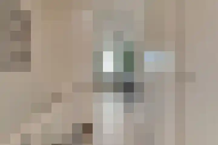 Boddemate 10 Zwolle thumbnail 15