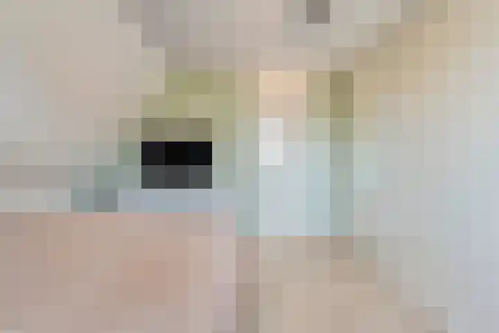 Boddemate 10 Zwolle thumbnail 19