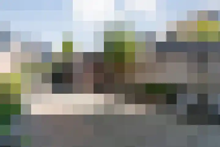 Boddemate 10 Zwolle thumbnail 22