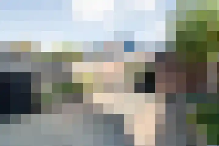 Boddemate 10 Zwolle thumbnail 23