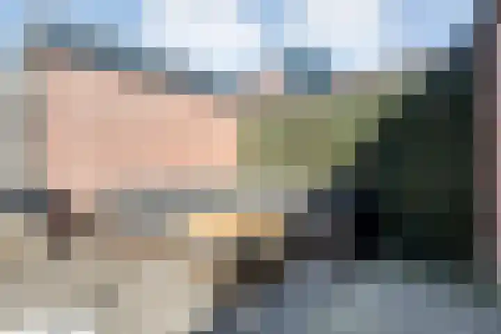 Boddemate 10 Zwolle thumbnail 24