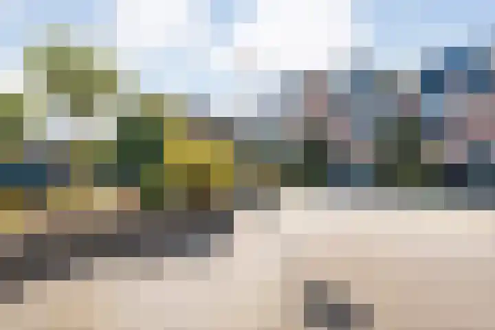 Boddemate 10 Zwolle thumbnail 26