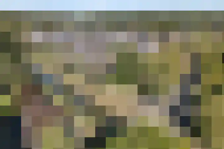 Boddemate 10 Zwolle thumbnail 31