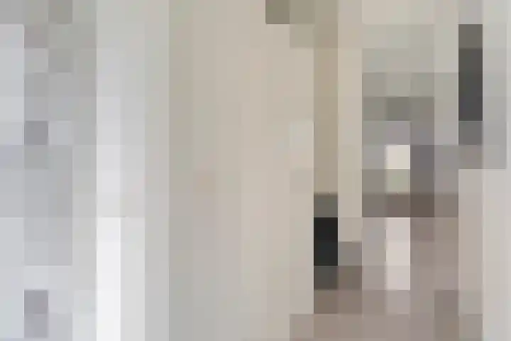 Boddemate 10 Zwolle thumbnail 5