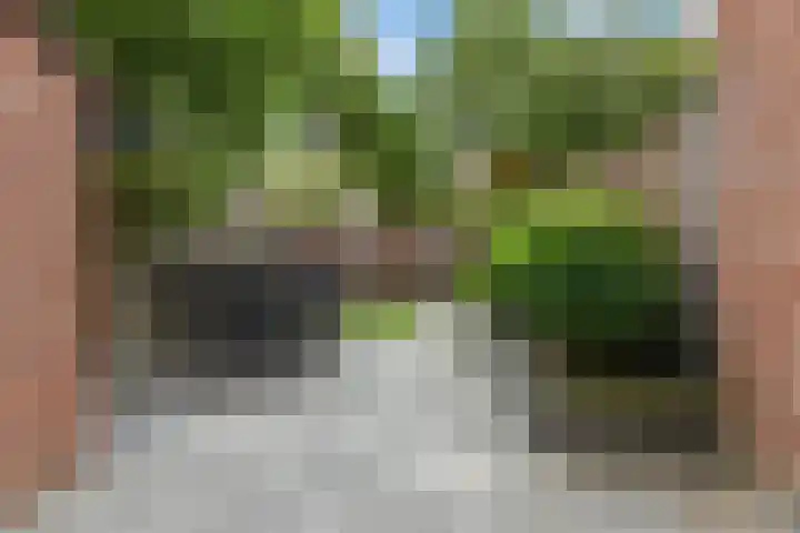 Boddemate 3 Zwolle thumbnail 28