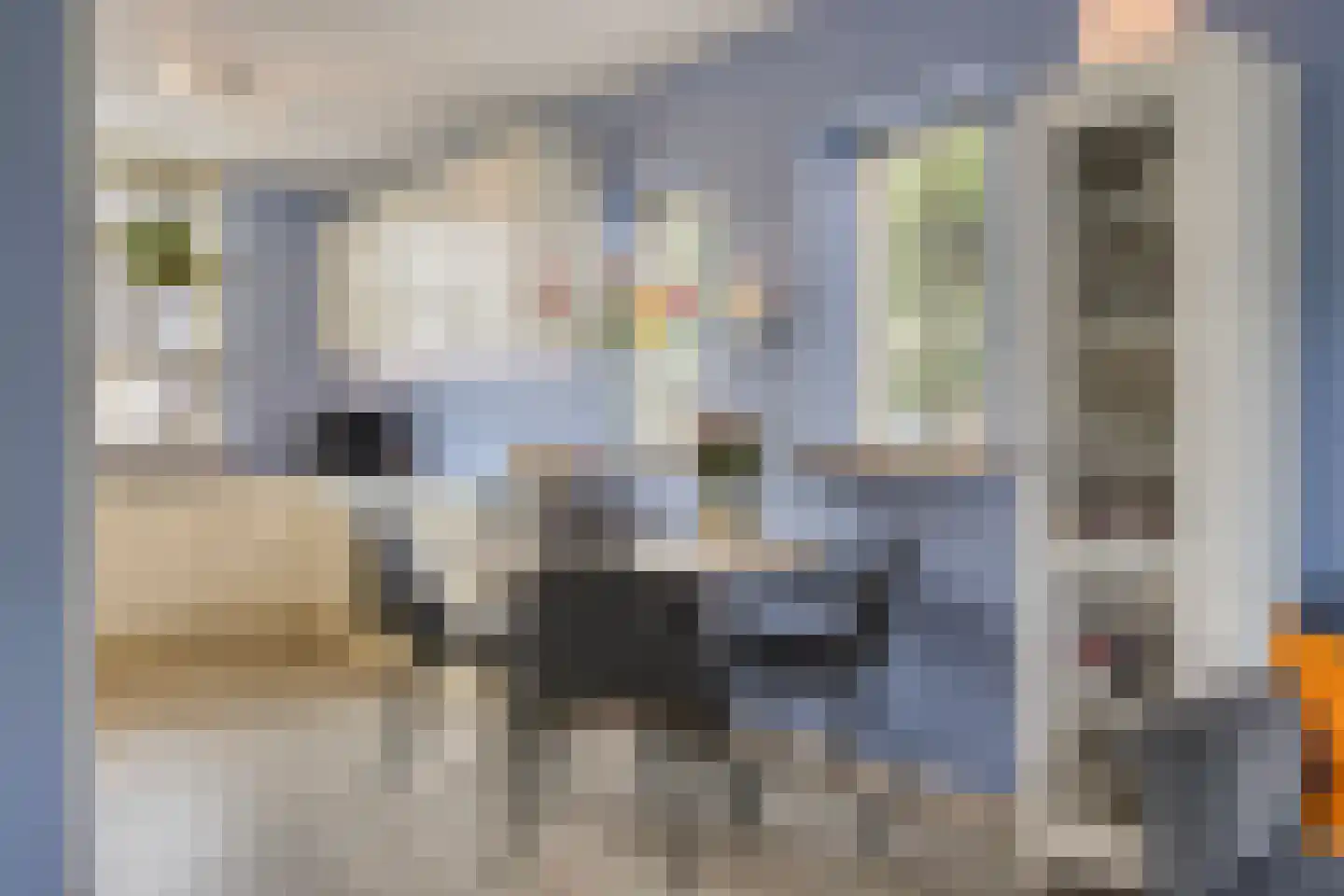 Boddemate 95 Zwolle thumbnail 13