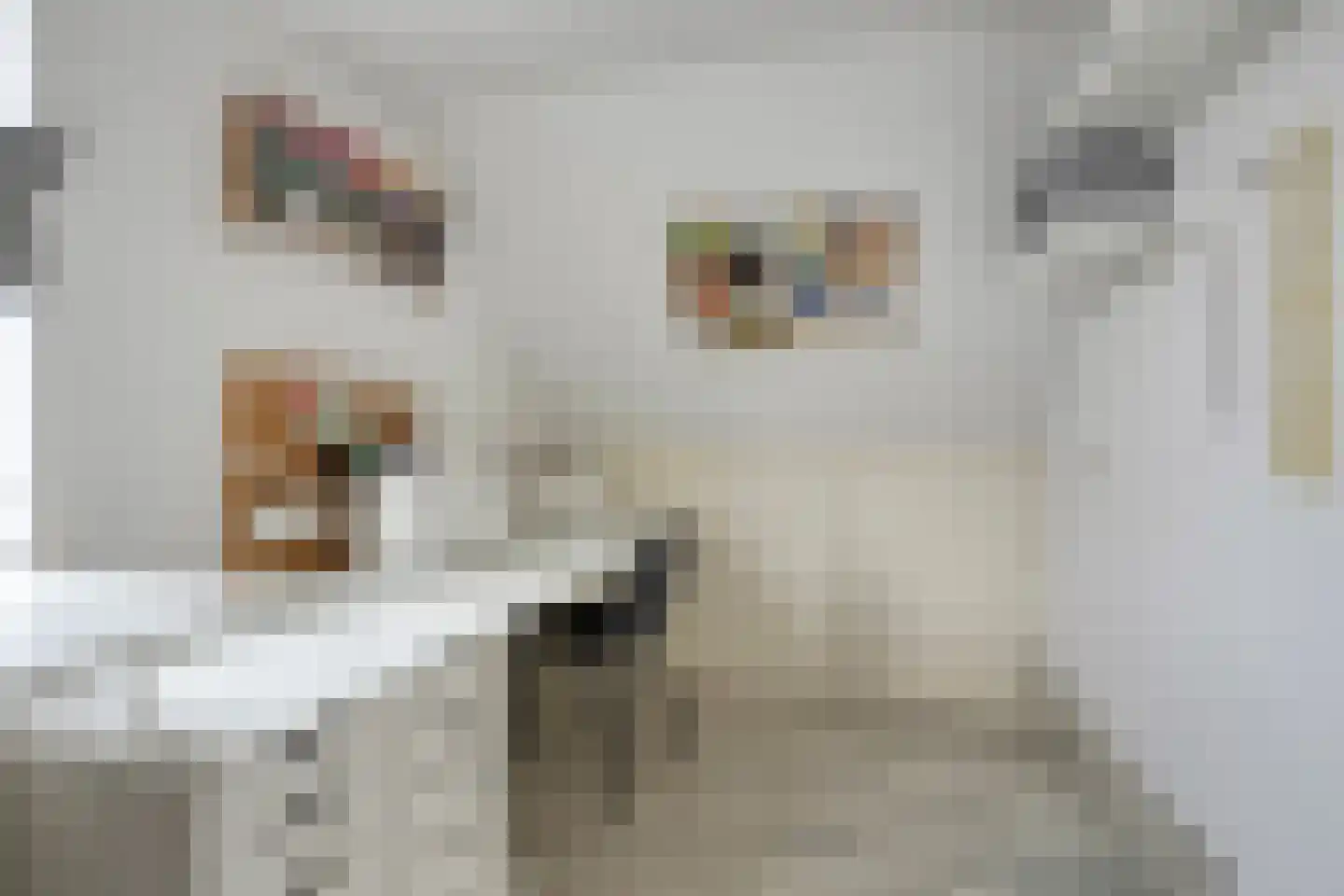Boddemate 95 Zwolle thumbnail 26