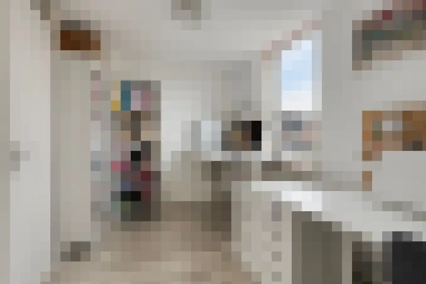 Boddemate 95 Zwolle thumbnail 27