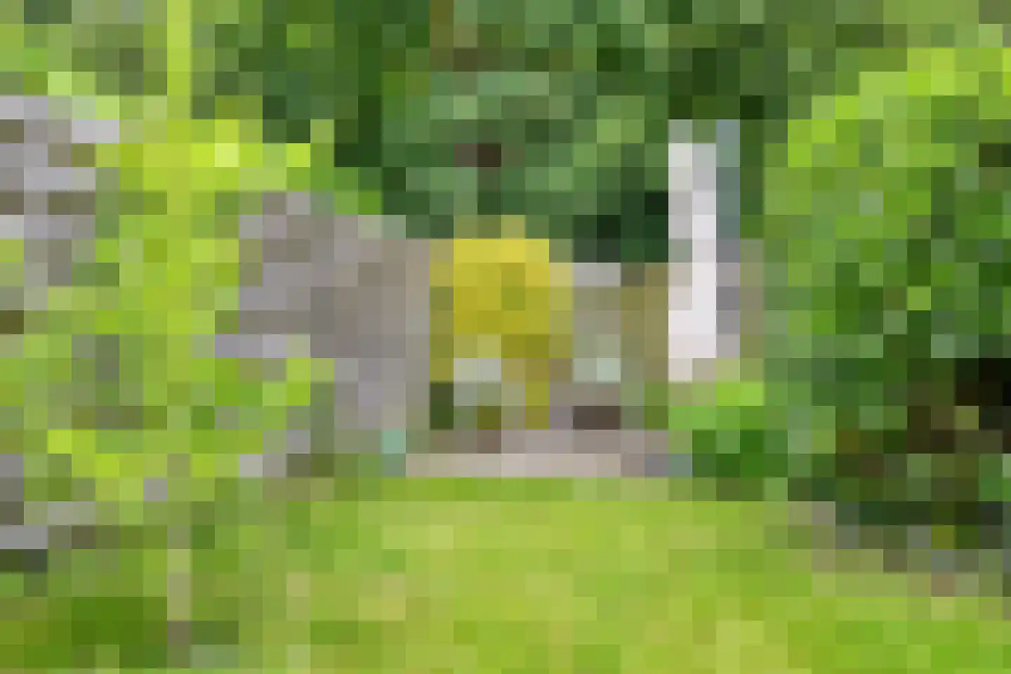 Boddemate 95 Zwolle thumbnail 34