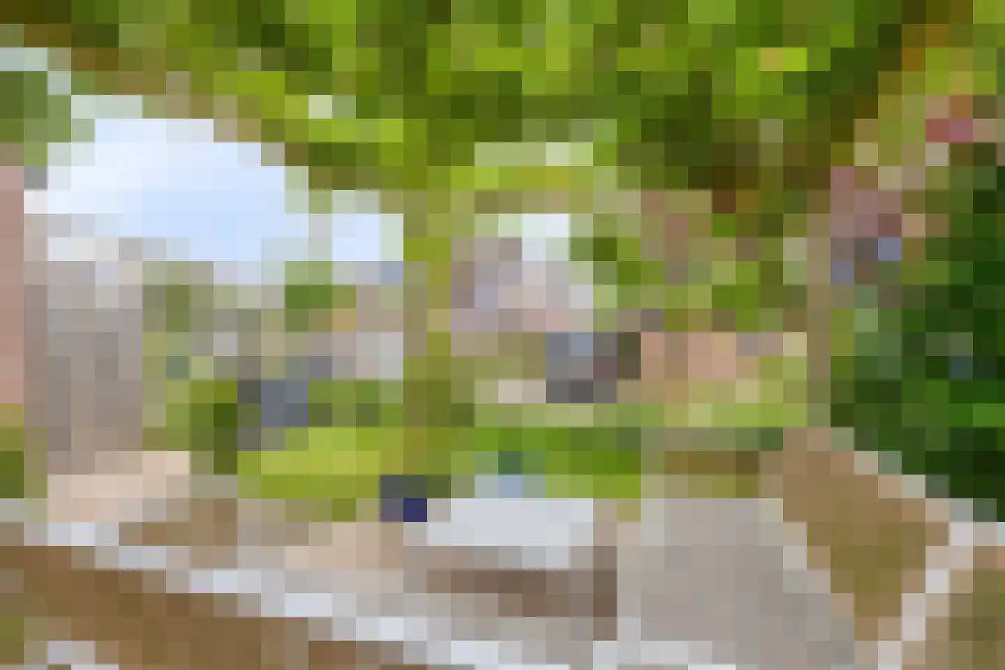 Boddemate 95 Zwolle thumbnail 36