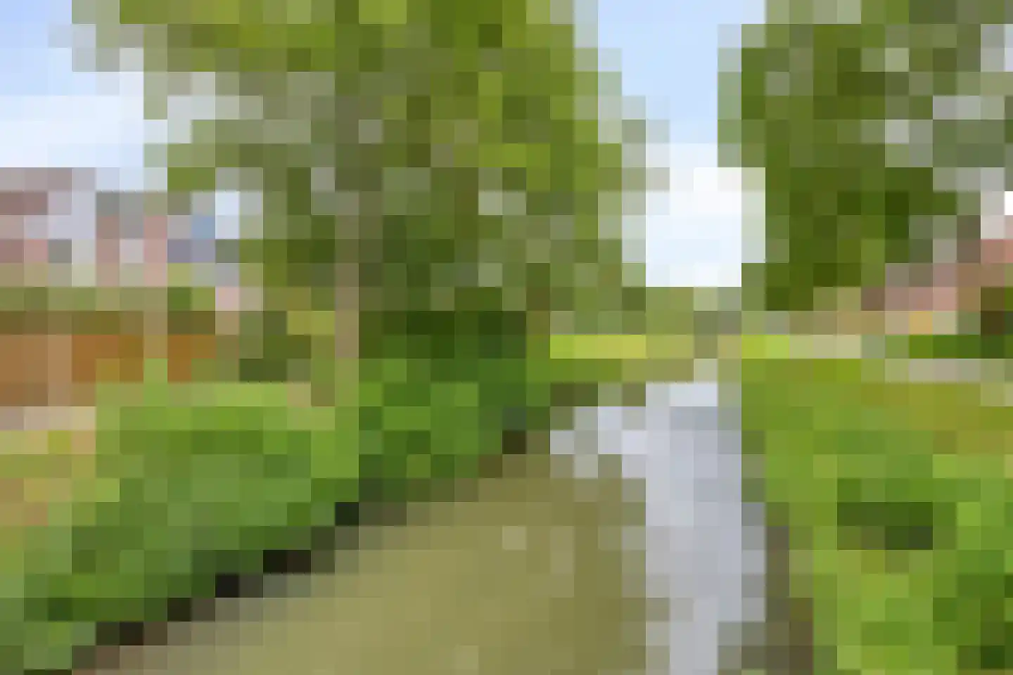 Boddemate 95 Zwolle thumbnail 43