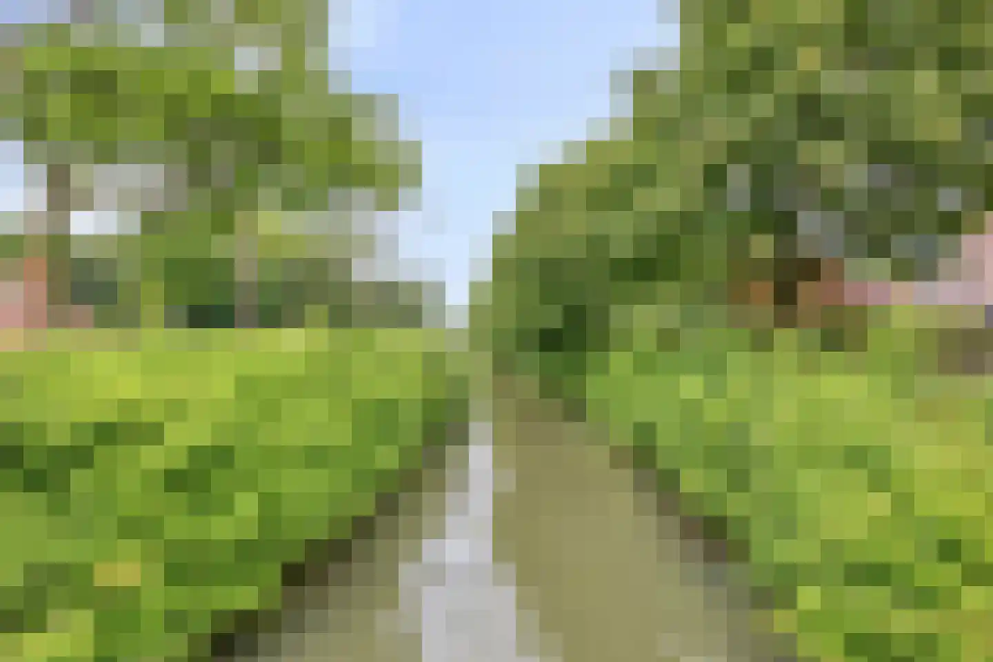 Boddemate 95 Zwolle thumbnail 44