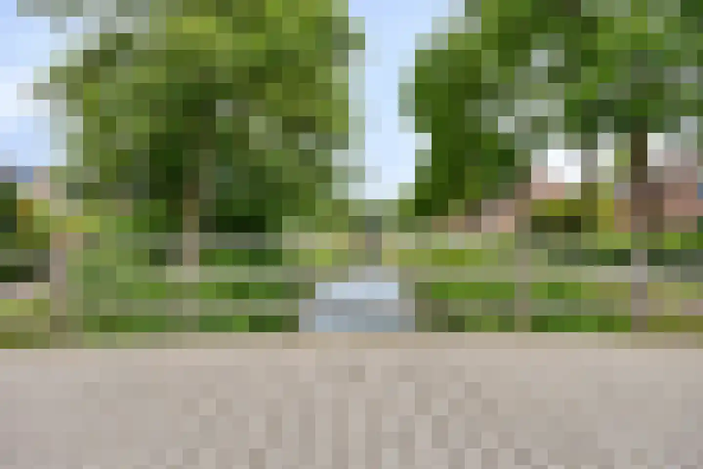 Boddemate 95 Zwolle thumbnail 45