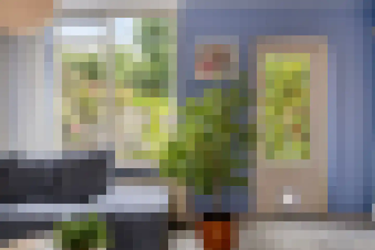 Boddemate 95 Zwolle thumbnail 9