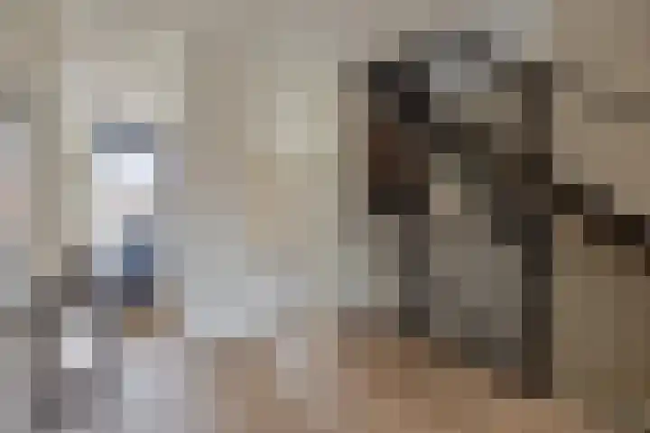 Boddenkamplaan 53 Enschede thumbnail 28