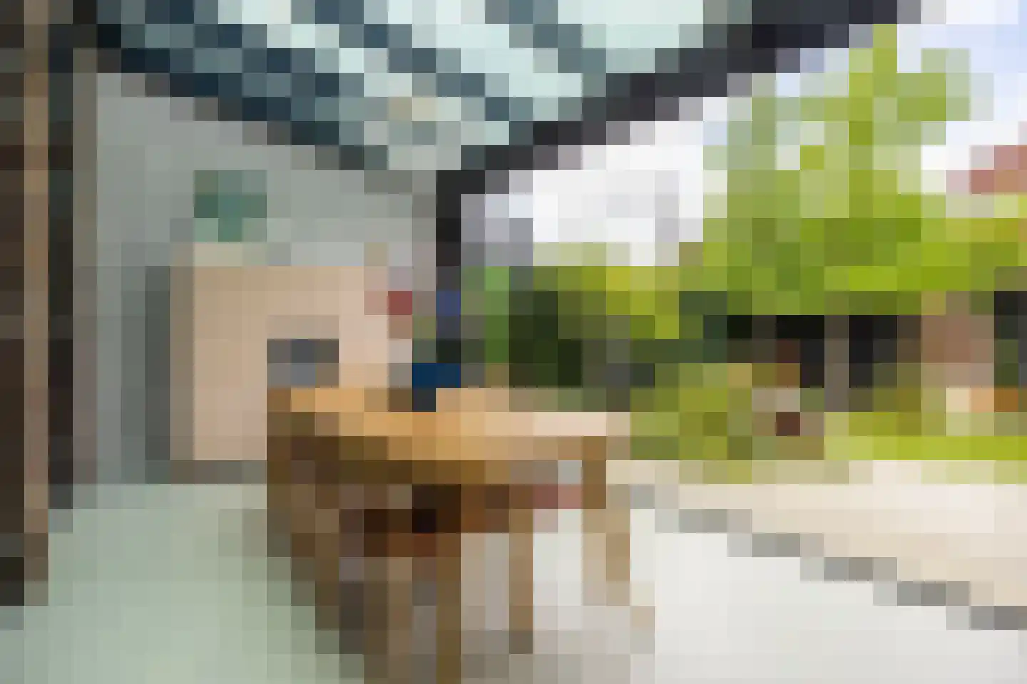 Boddenkamplaan 71 Enschede thumbnail 17