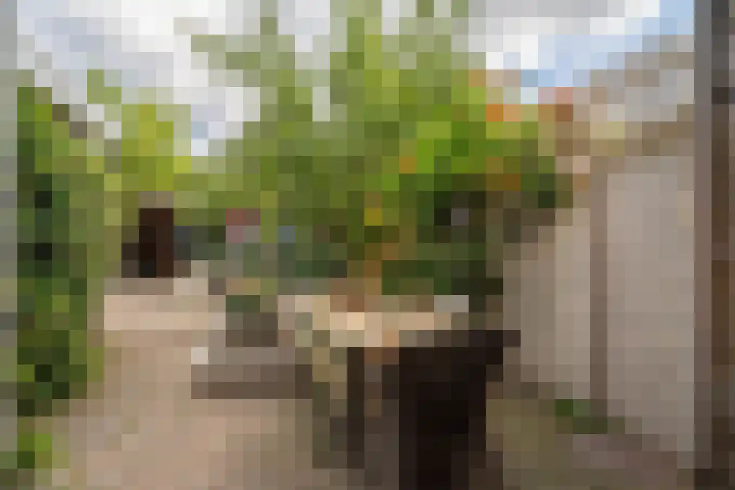 Boddenkampsingel 112 Enschede thumbnail 41