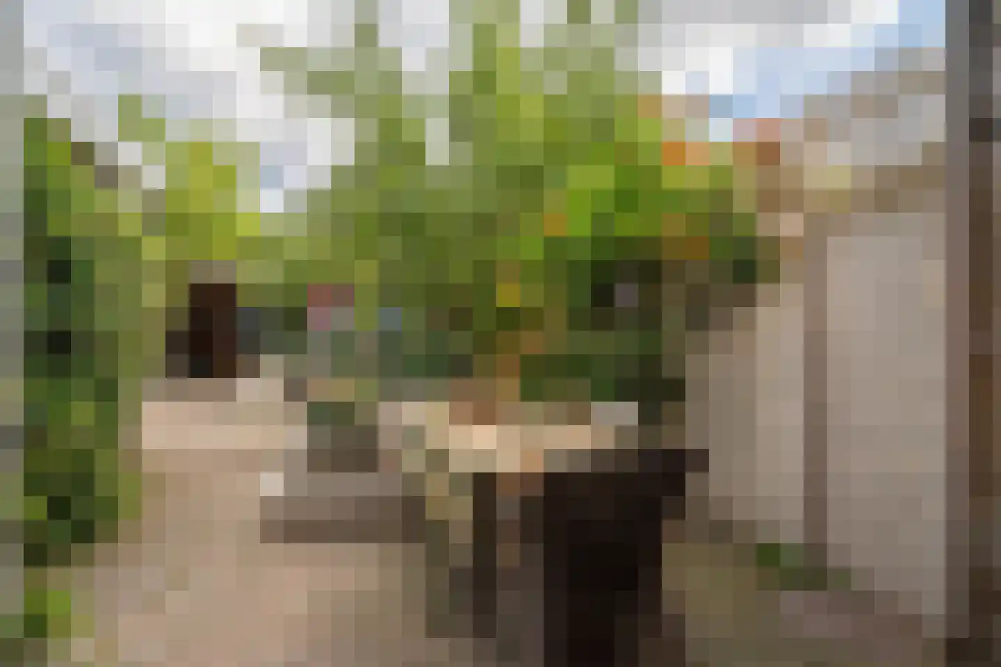 Boddenkampsingel 112 Enschede thumbnail 48