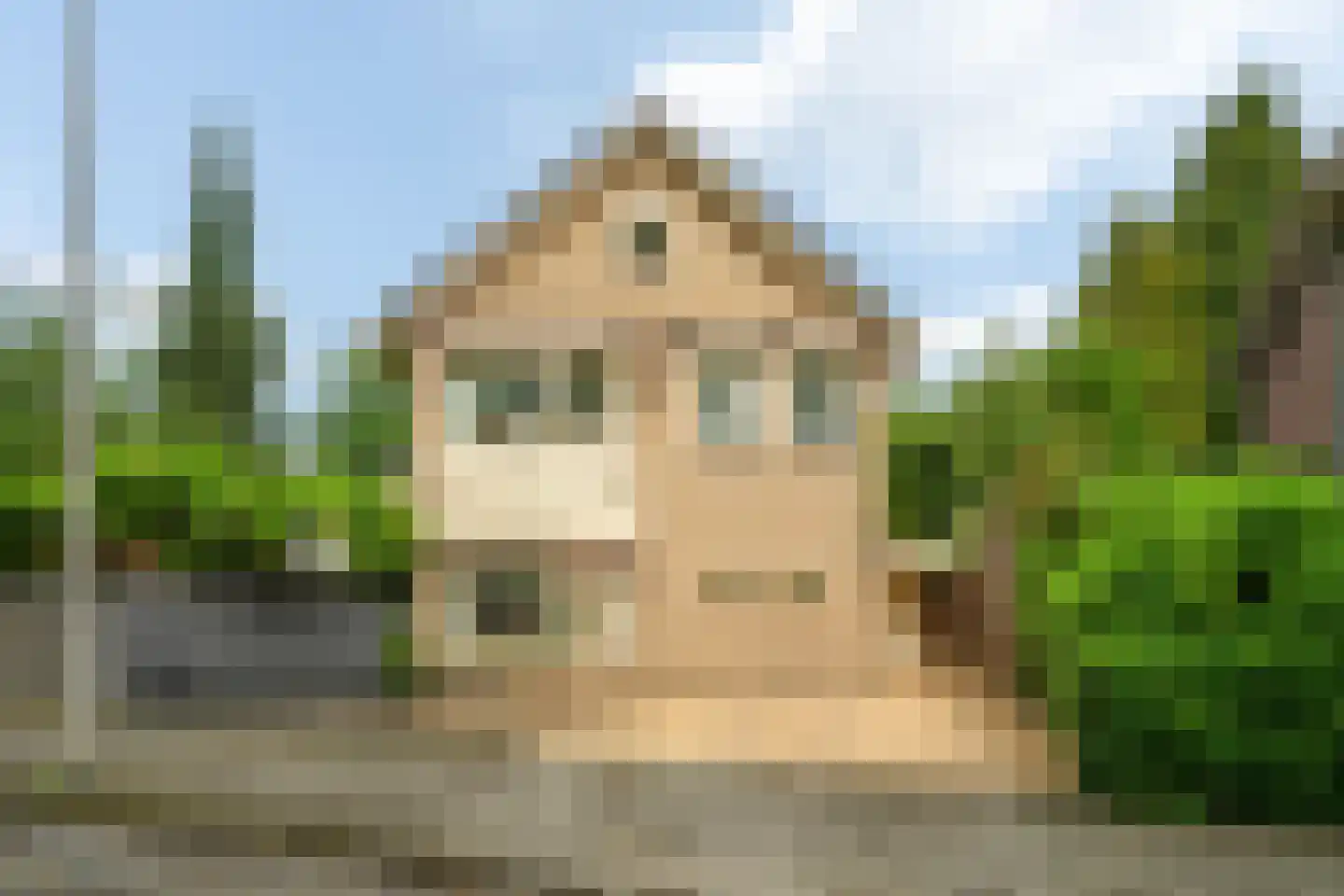 Boddenkampsingel 13 Enschede thumbnail 6