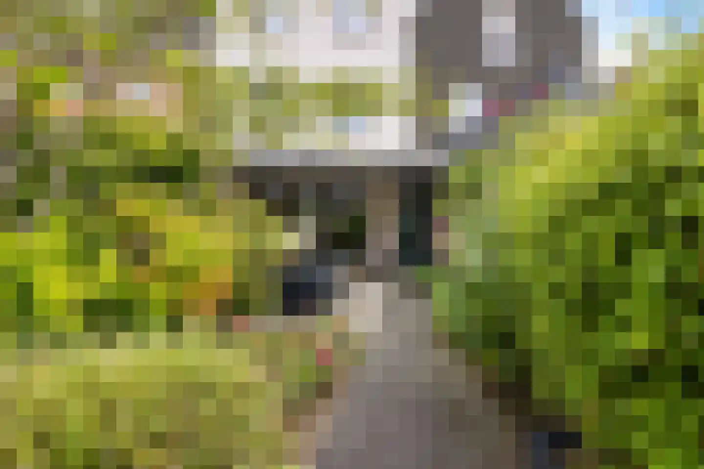 Boddenkampstraat 3 A Enschede thumbnail 32