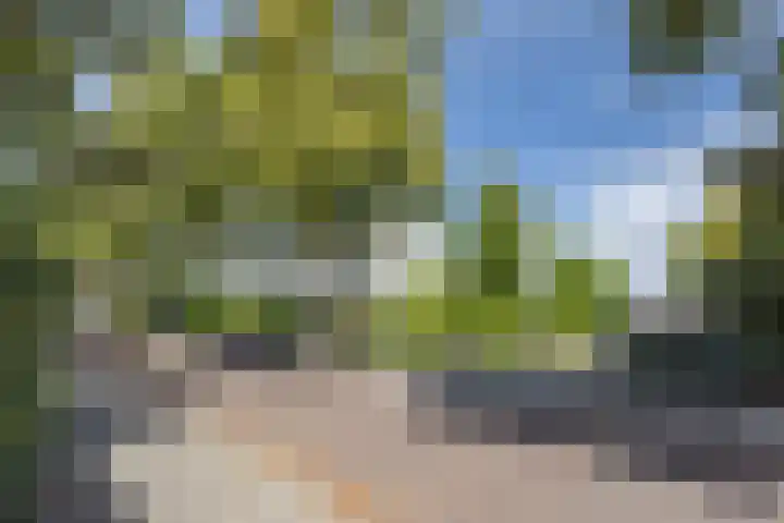 Boddenkampstraat 96 Enschede thumbnail 44