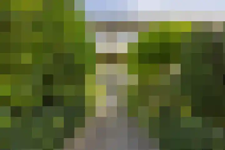 Boddenkampstraat 96 Enschede thumbnail 6