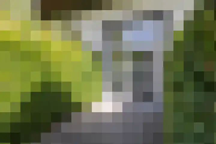 Boddenkampstraat 96 Enschede thumbnail 7