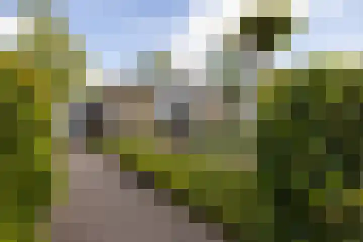 Boddens Hosangstraat 11 Doetinchem thumbnail 37