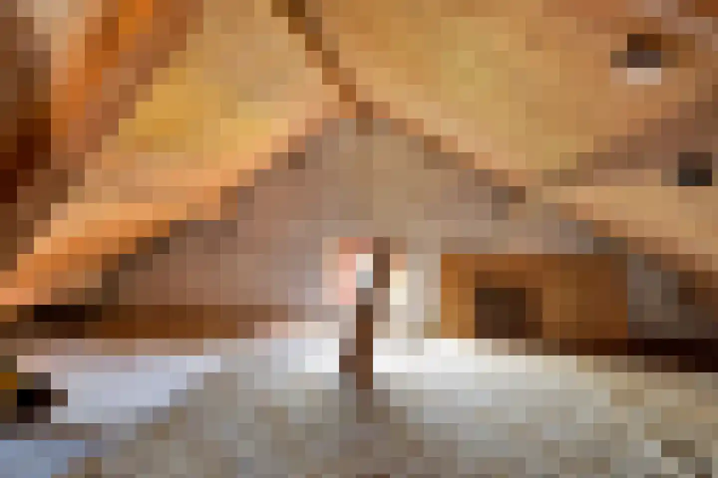 Boddens Hosangweg 15 Woubrugge thumbnail 23