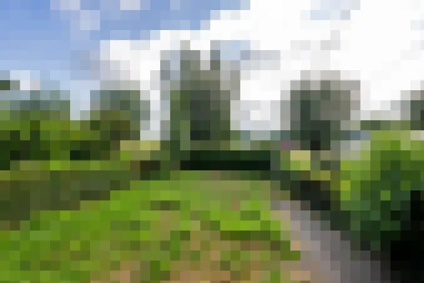 Boddens Hosangweg 15 Woubrugge thumbnail 30