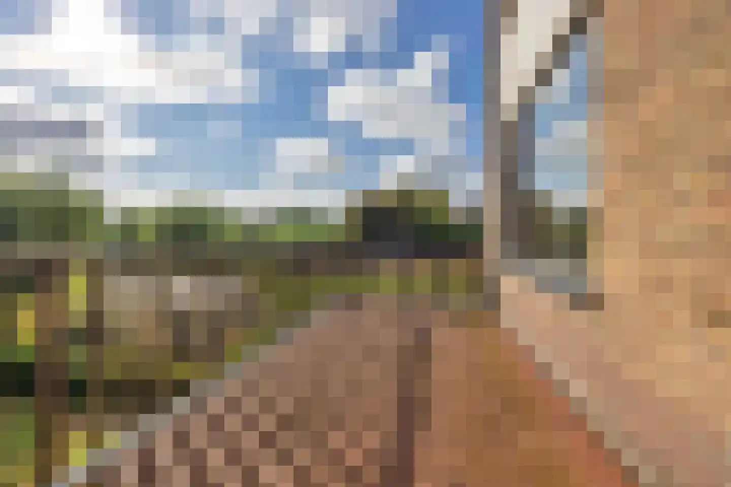 Boddens Hosangweg 15 Woubrugge thumbnail 33