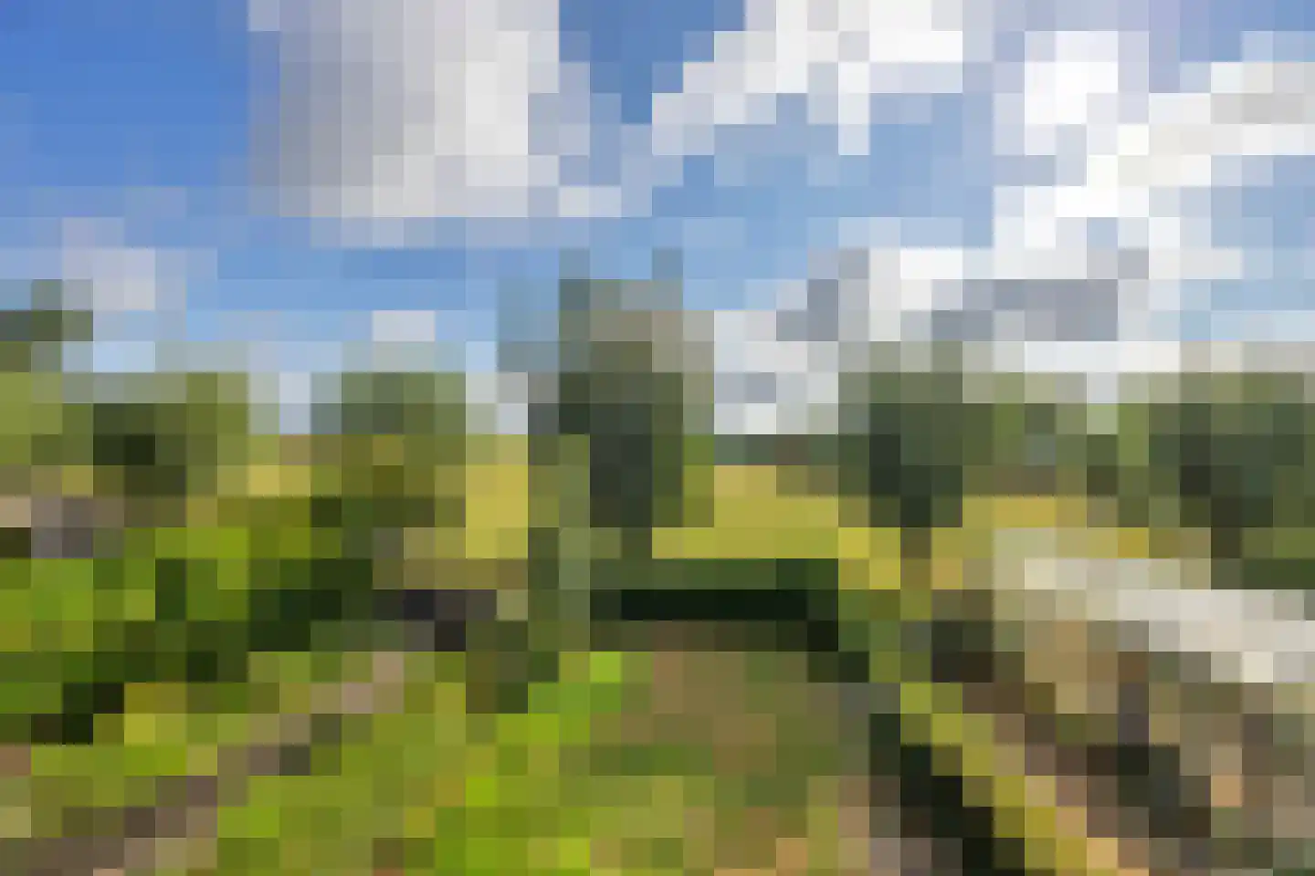 Boddens Hosangweg 15 Woubrugge thumbnail 34