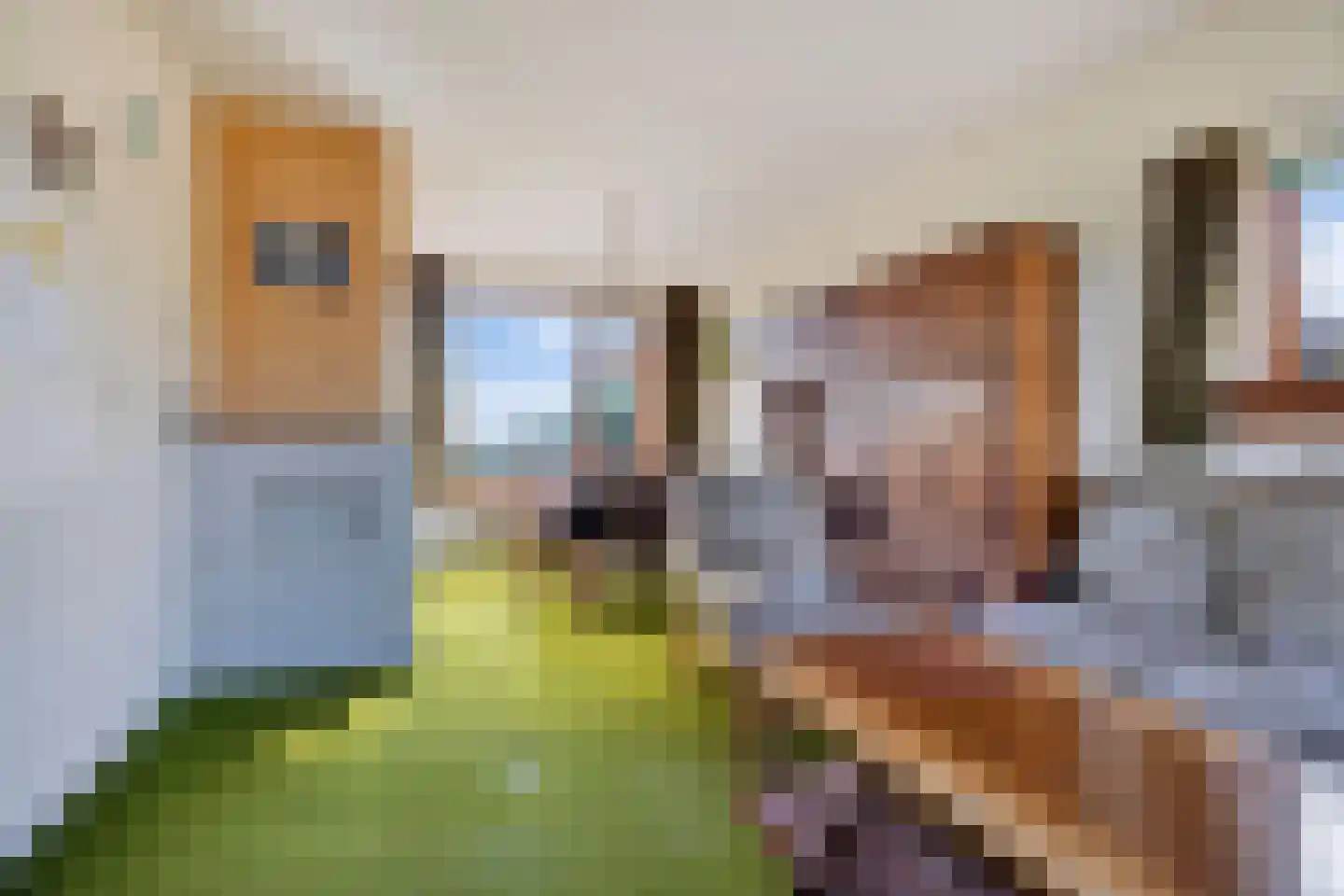 Boddens Hosangweg 15 Woubrugge thumbnail 4