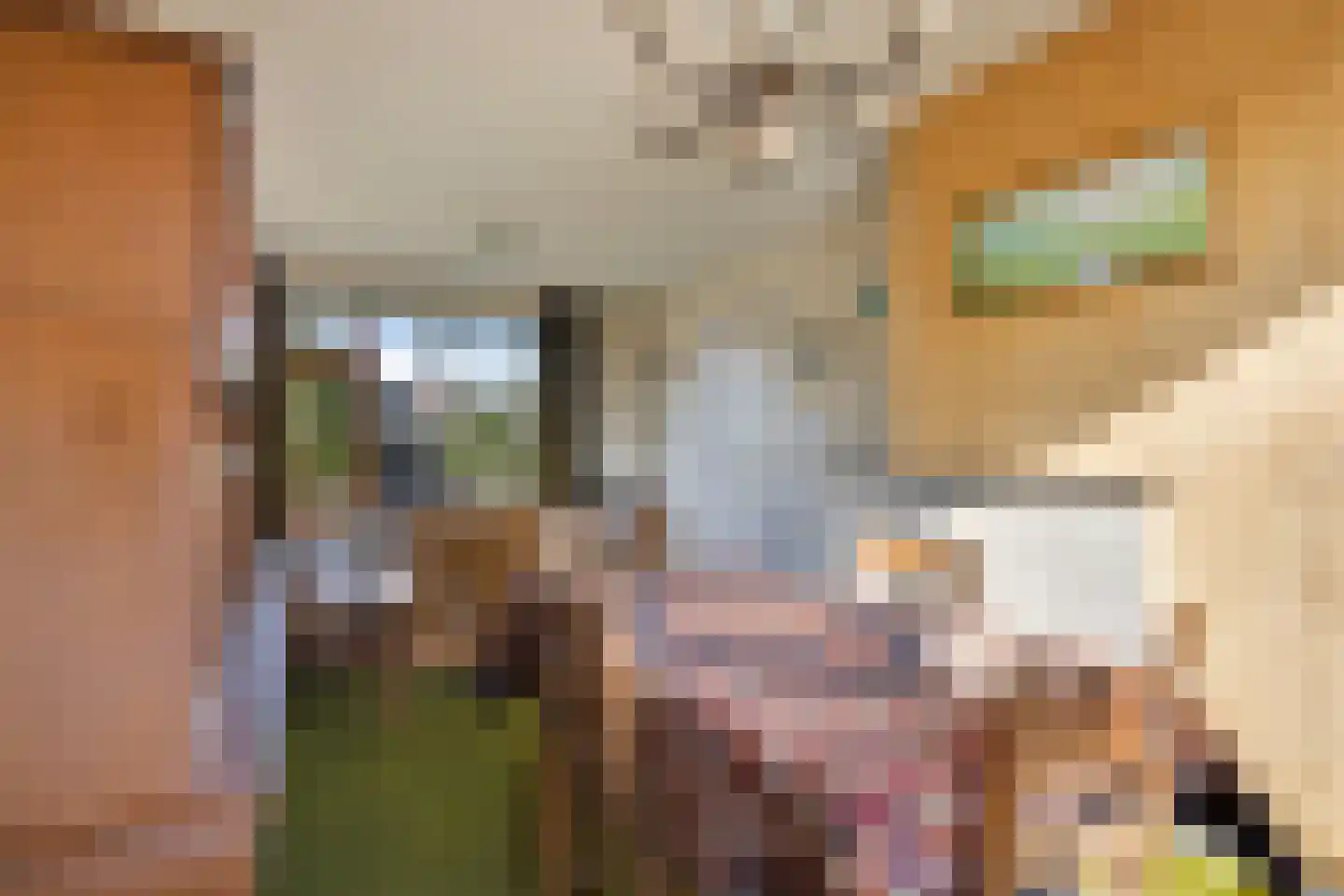 Boddens Hosangweg 15 Woubrugge thumbnail 7