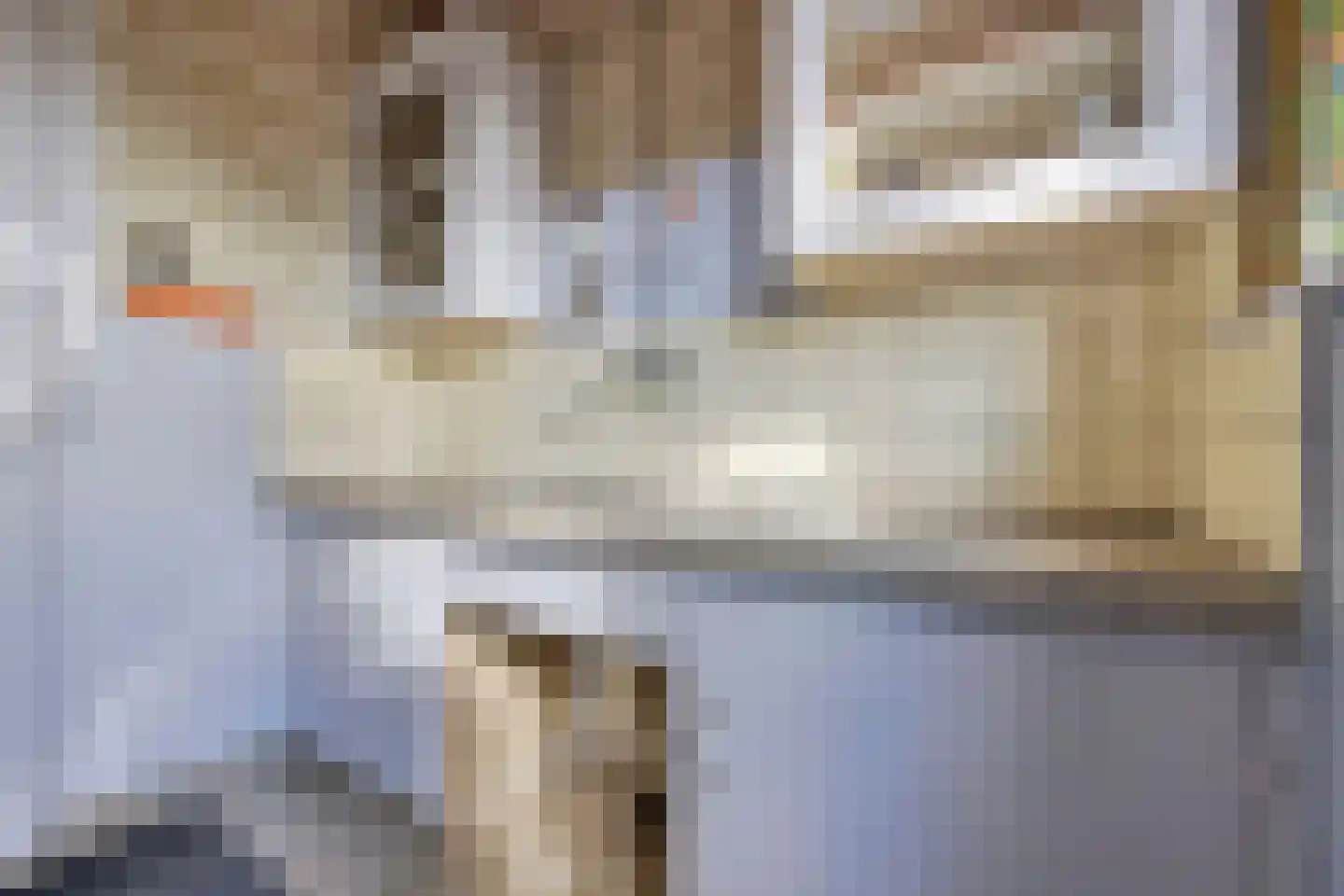 Boddens Hosangweg 15 Woubrugge thumbnail 9
