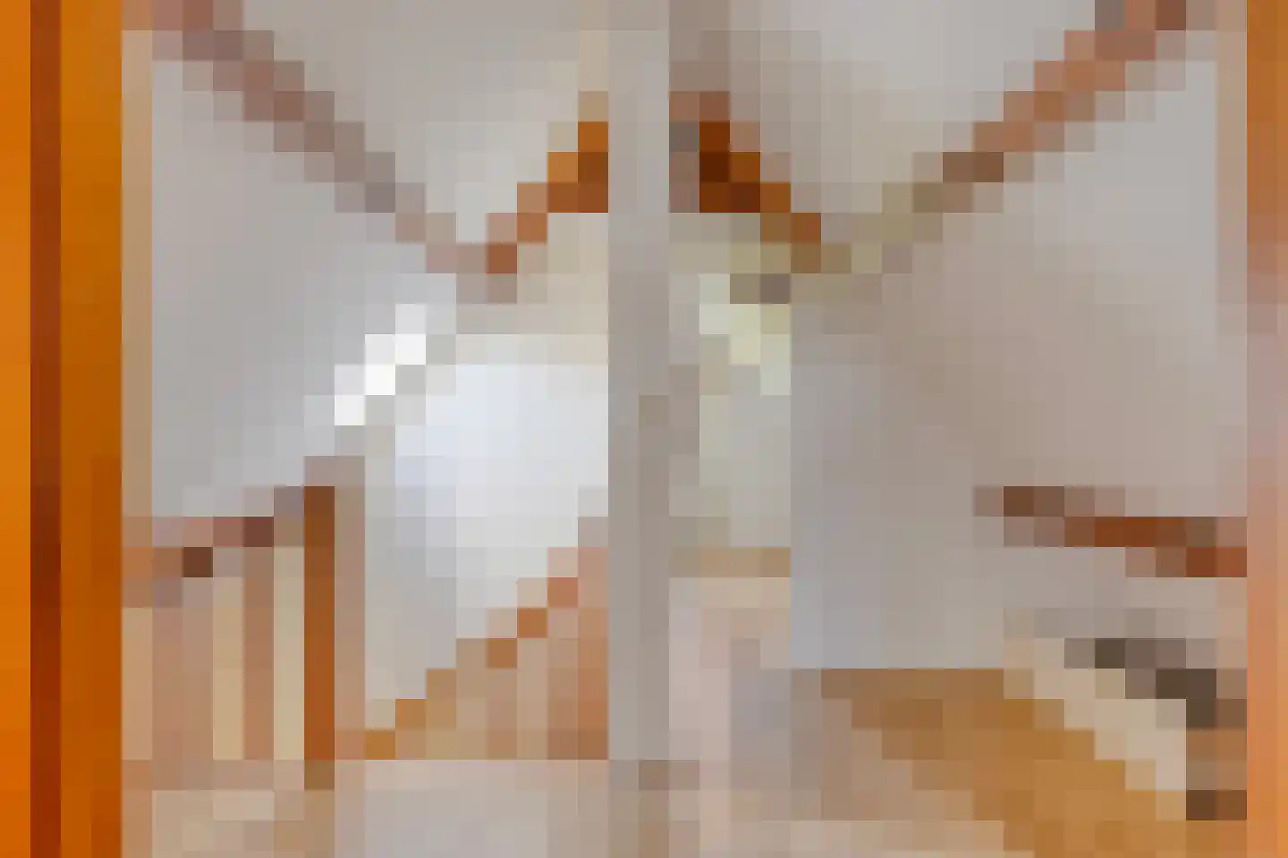 Boddens Hosangweg 22 Woubrugge thumbnail 34