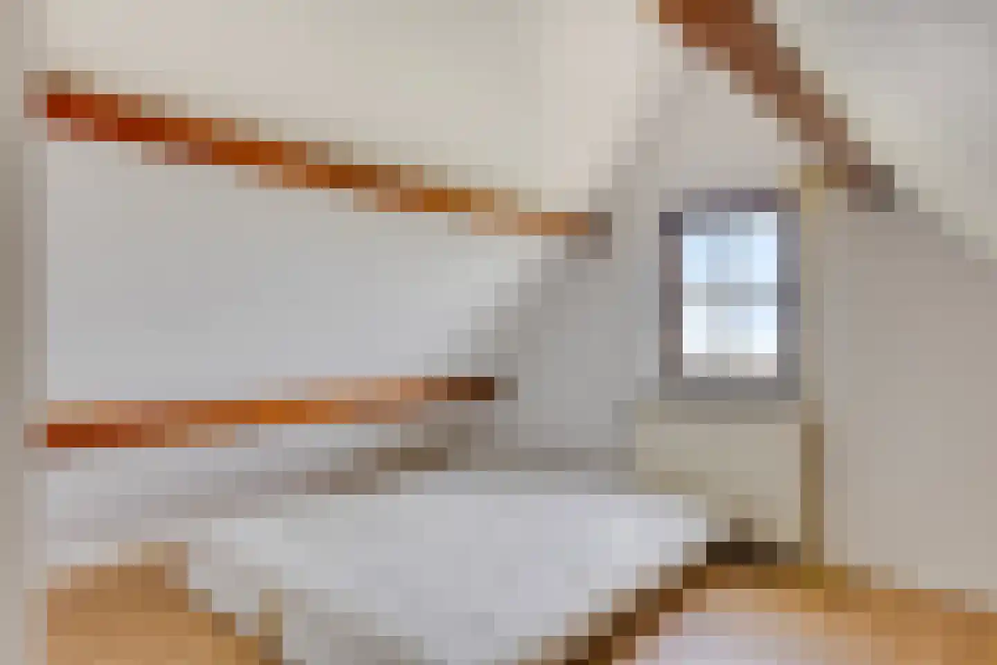 Boddens Hosangweg 22 Woubrugge thumbnail 35