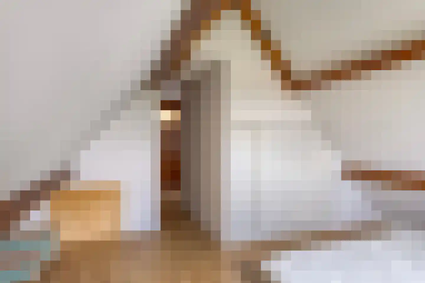 Boddens Hosangweg 22 Woubrugge thumbnail 36