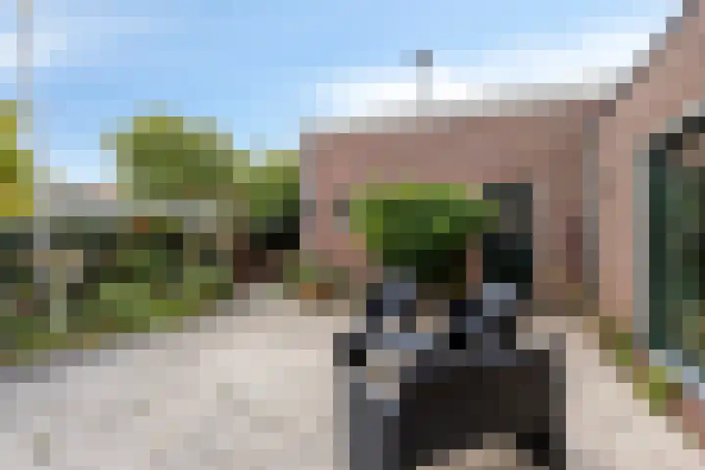 Boddens Hosangweg 22 Woubrugge thumbnail 39