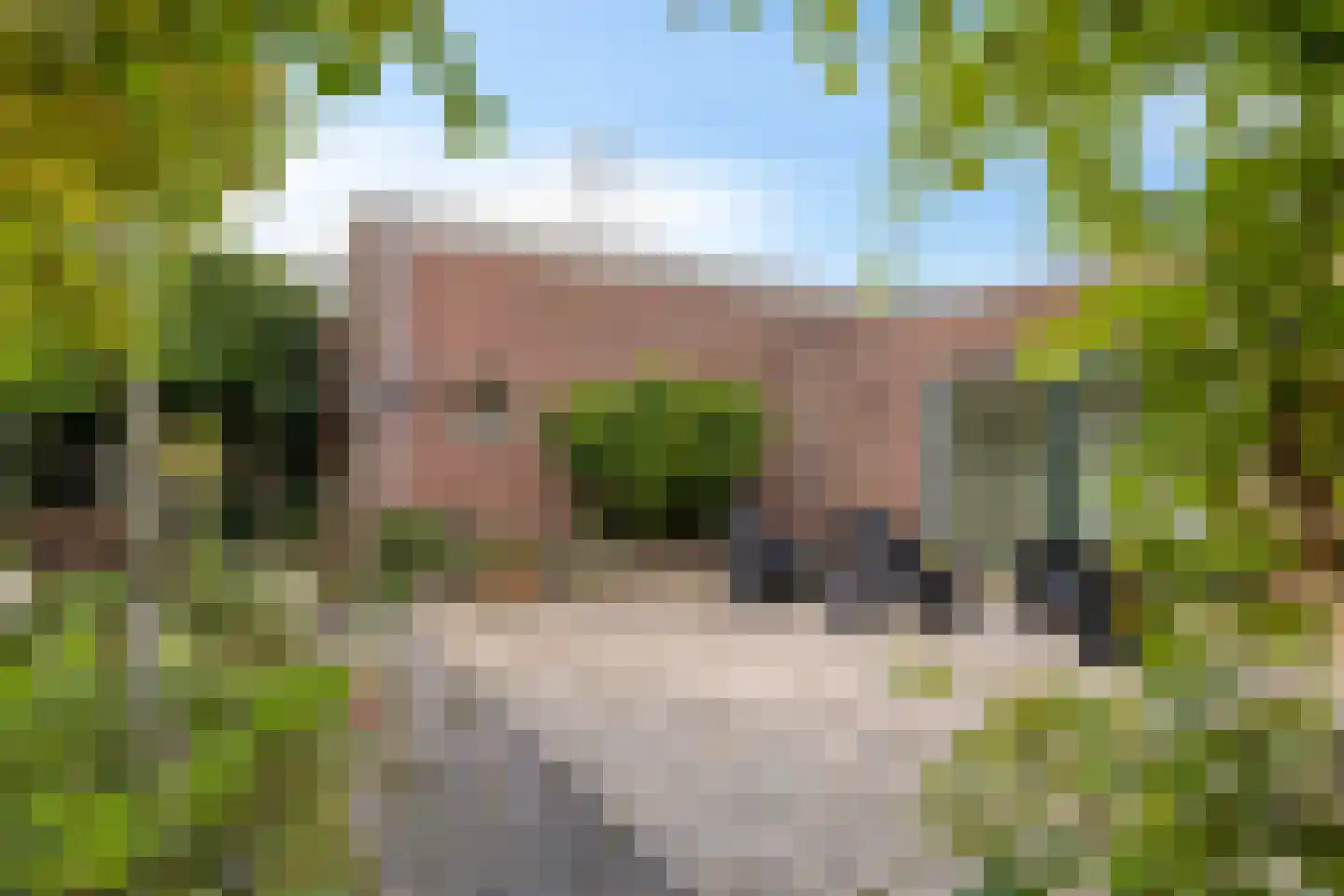 Boddens Hosangweg 22 Woubrugge thumbnail 40