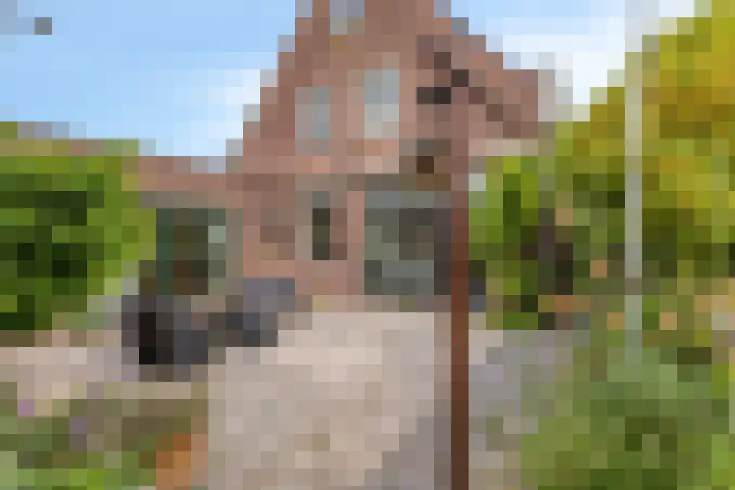 Boddens Hosangweg 22 Woubrugge thumbnail 41