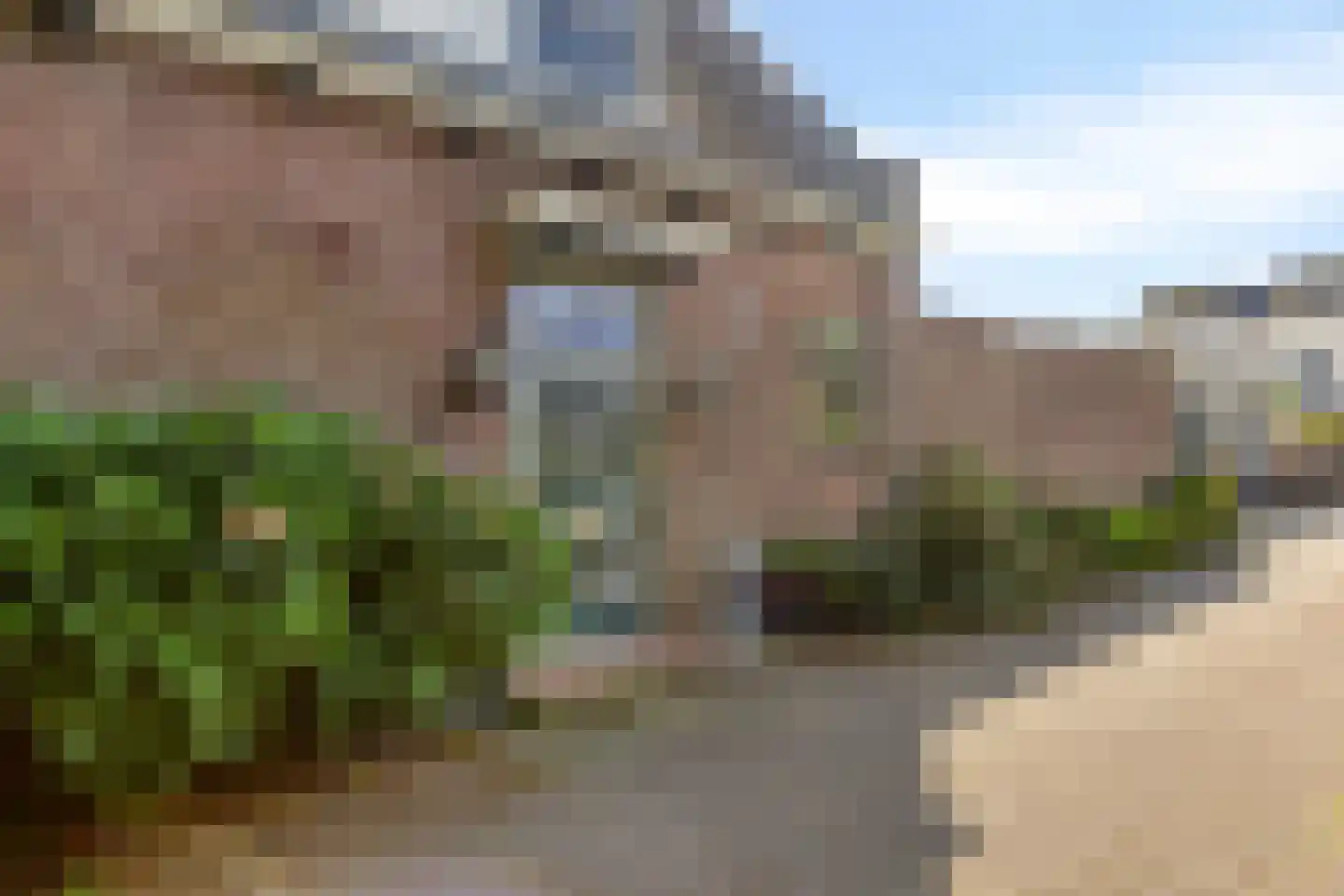 Boddens Hosangweg 22 Woubrugge thumbnail 42