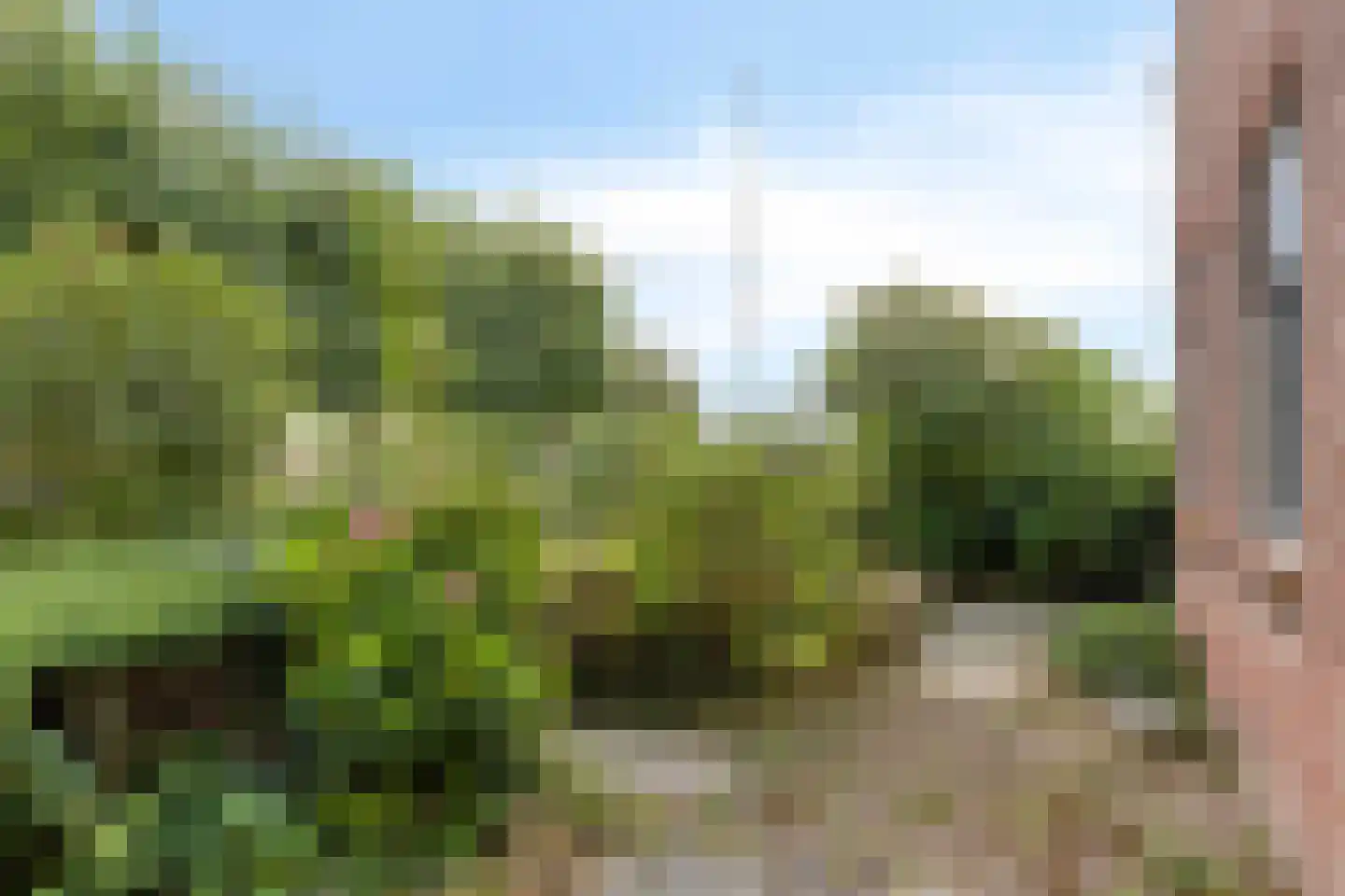 Boddens Hosangweg 22 Woubrugge thumbnail 44
