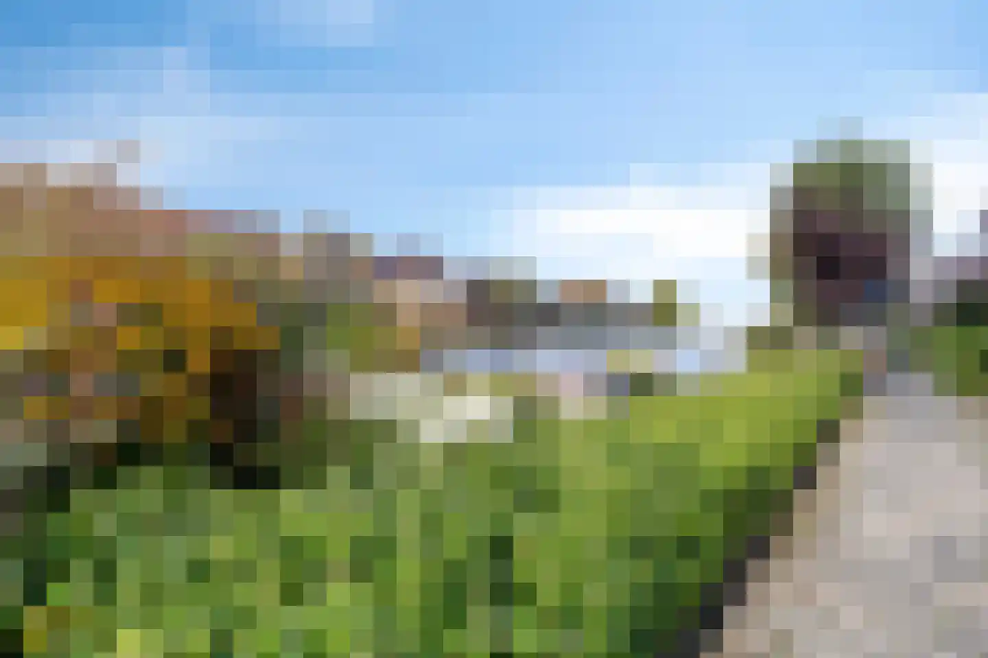 Boddens Hosangweg 22 Woubrugge thumbnail 46
