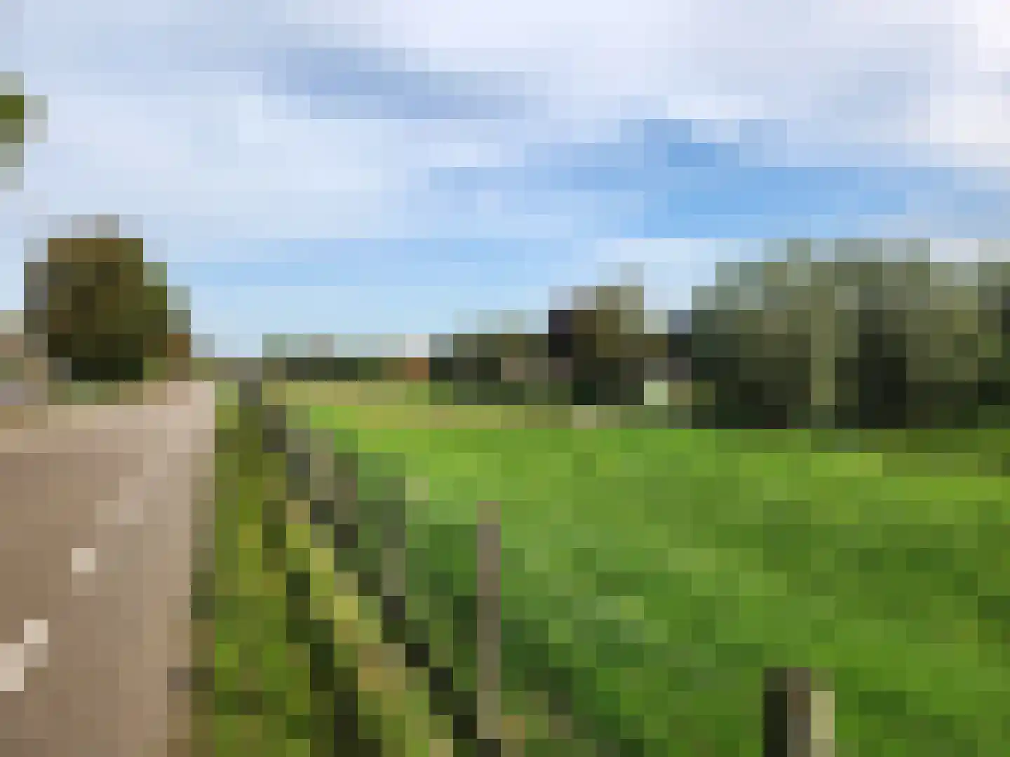Boddens Hosangweg 22 Woubrugge thumbnail 47