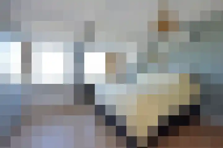 Boddens Hosangweg 23 Woubrugge thumbnail 16