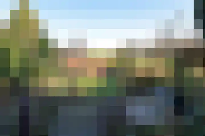 Boddens Hosangweg 23 Woubrugge thumbnail 29