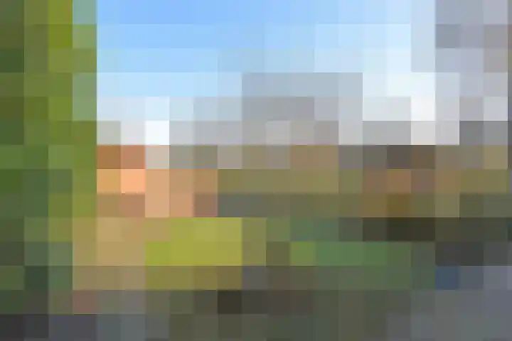 Boddens Hosangweg 23 Woubrugge thumbnail 30